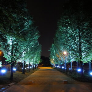 [DSC-WX1] 003.jpg